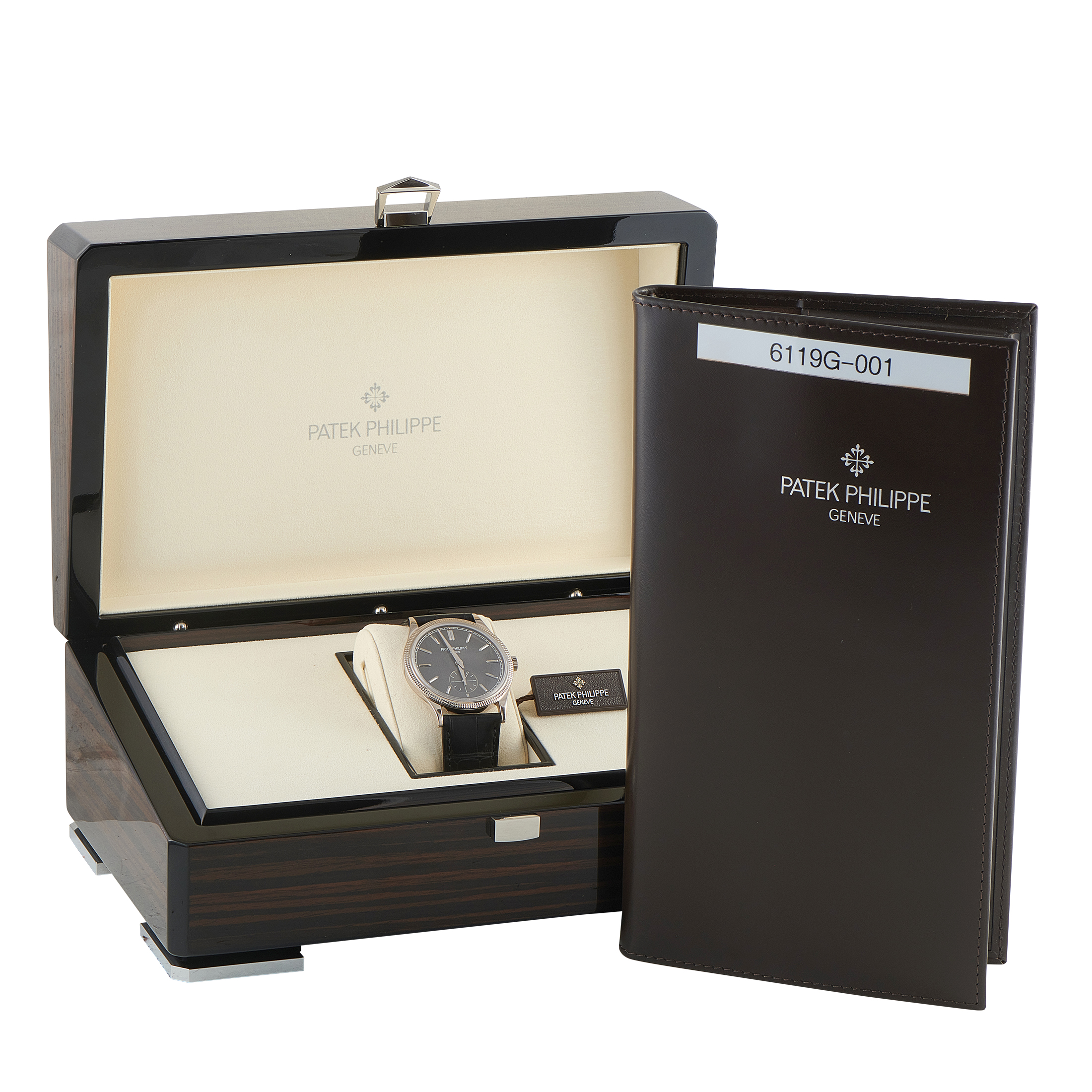 Patek Philippe Calatrava White Gold Watch 6119G