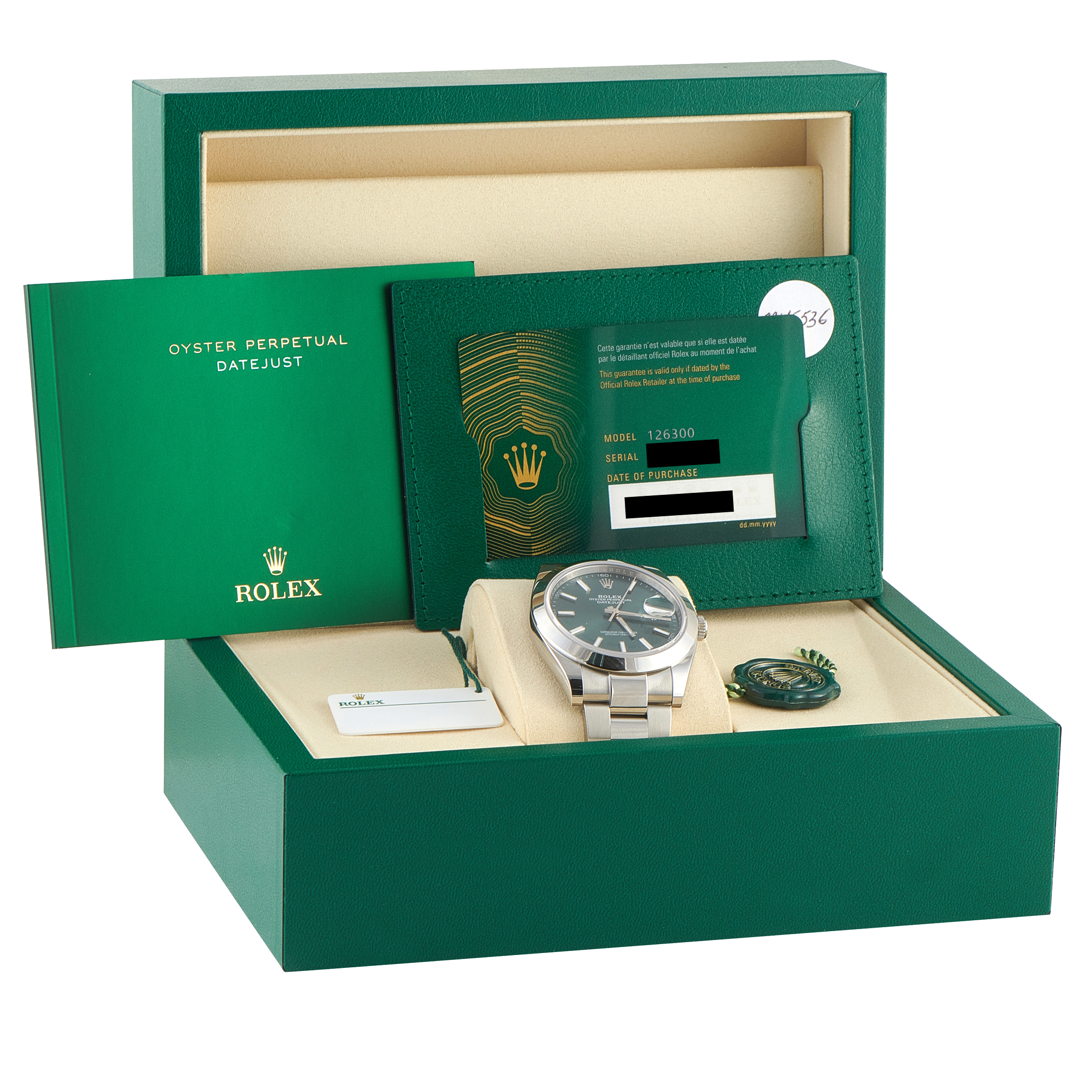 Rolex Datejust 41 Mint Green Dial Steel Oyster Watch 126300