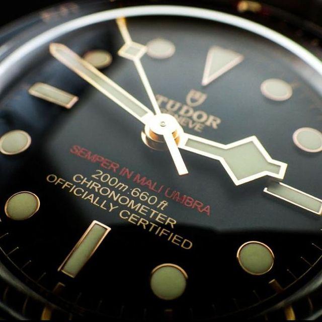 Tudor DRPP