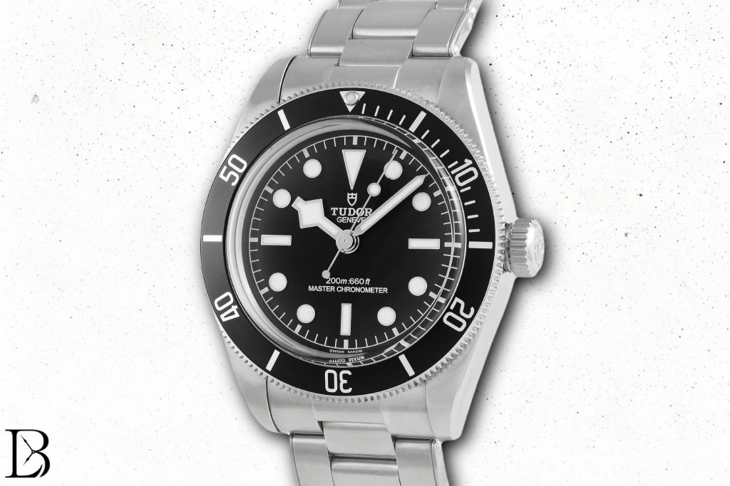 The Best of Tudor's 2024 Watches: The Black Bay Monochrome
