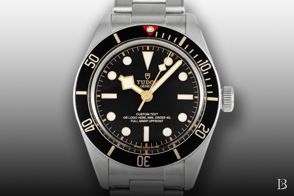 Illustration of Tudor custom dials