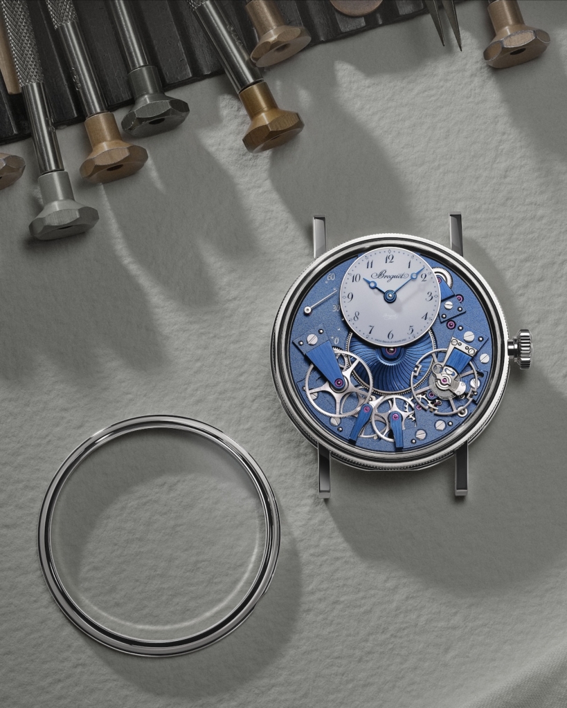 2026 Tradition Collection