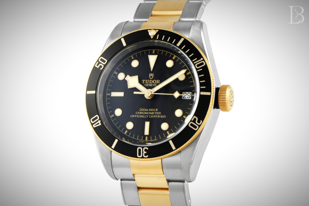 The Tudor Black Bay S&G ref. 79733N was discontinued in 2026